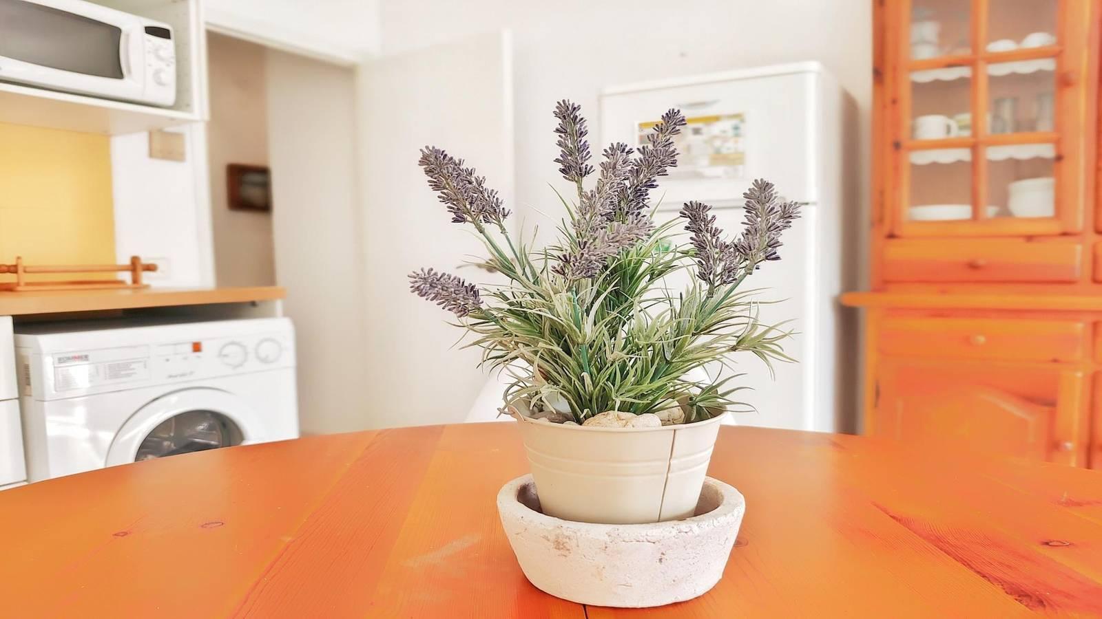Vakantieappartement in L'Escala, Spanje voor 6 personen foto 9
