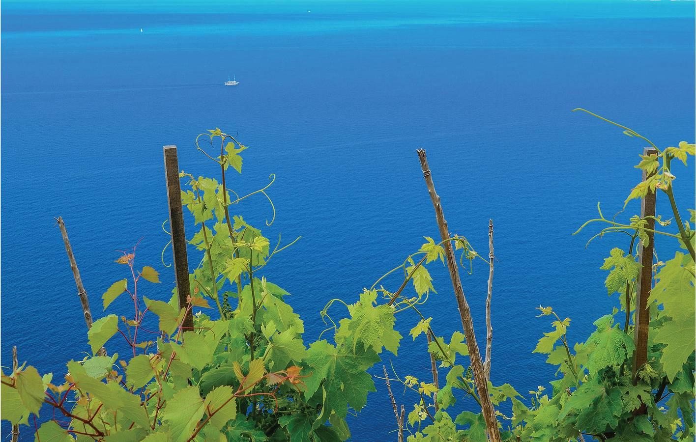 Vakantieappartement in Pelješac, Kroatië voor 4 personen foto 16