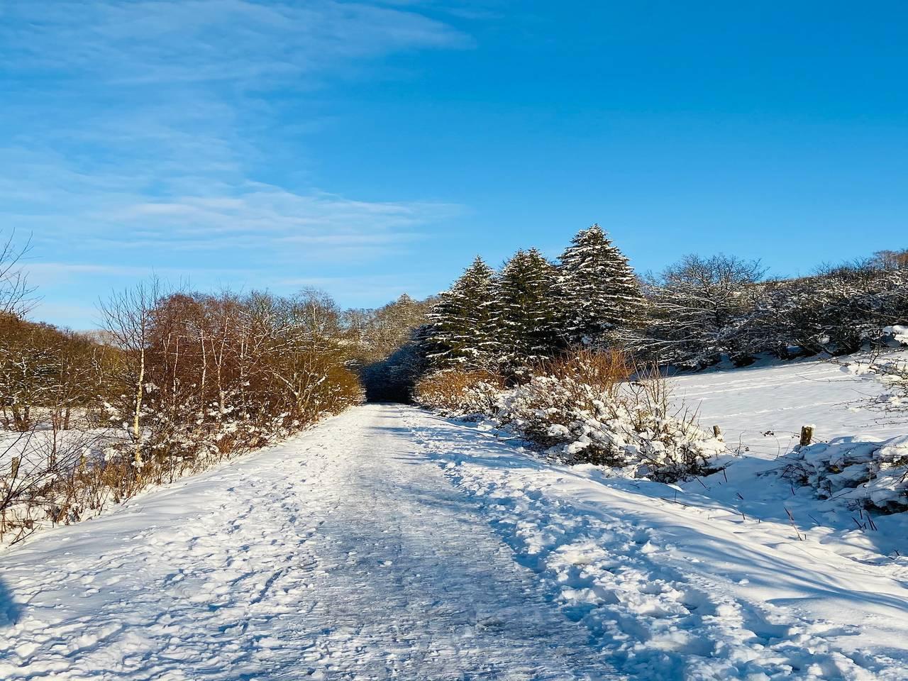 Gezinsresort met wellness in het hart van Ardennen in Malmedy, Natuurgebied Hautes Fagnes, België voor 6 personen foto 24