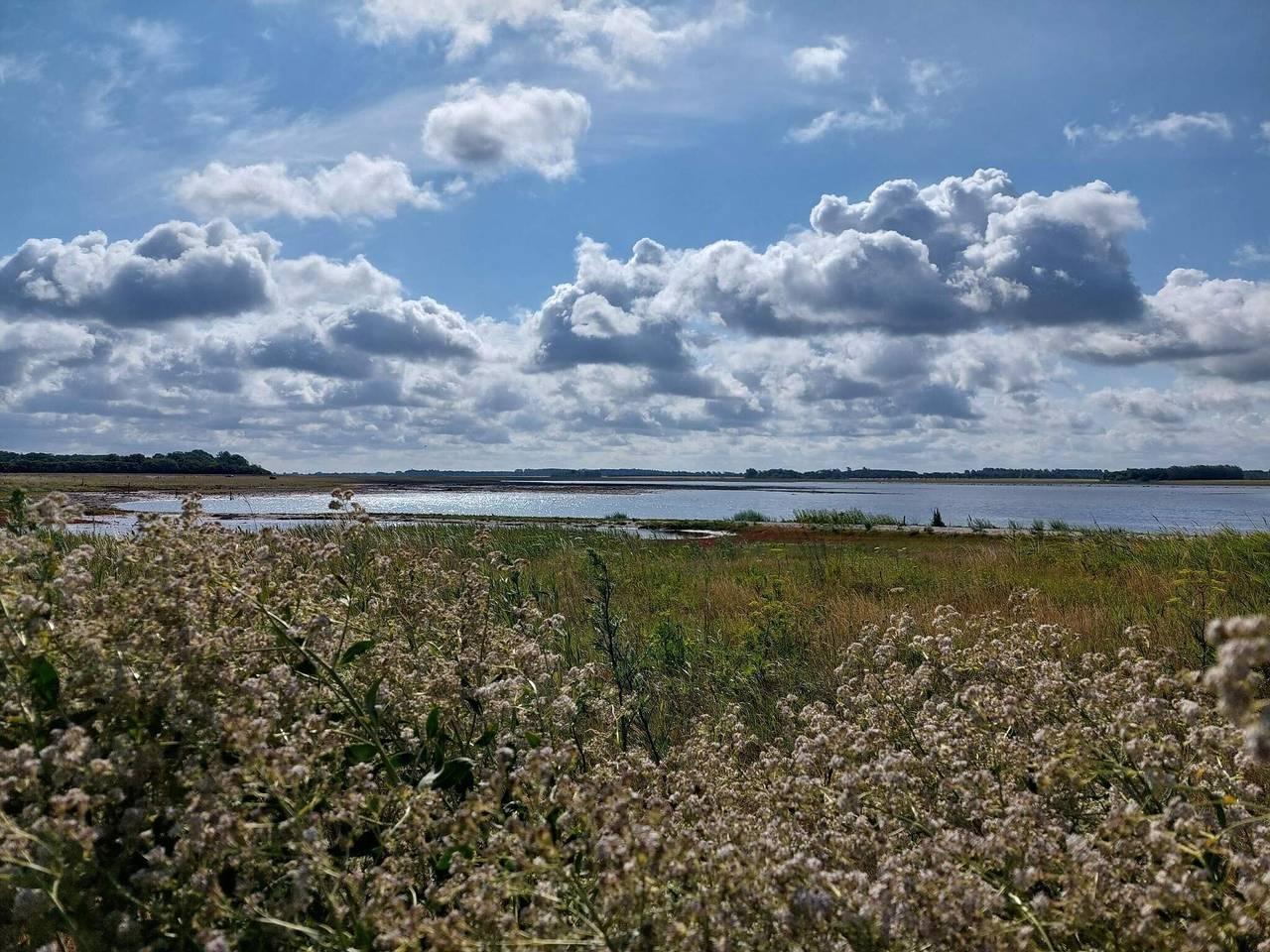 Vakantiehuis in Harboøre, Denemarken voor 5 personen foto 10