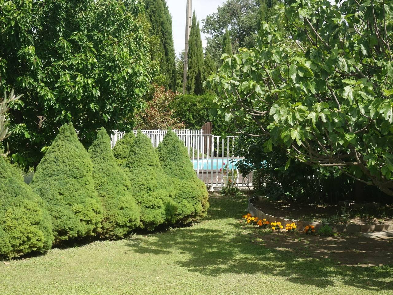 Vakantieappartement in Provence, Frankrijk voor 2 personen foto 2