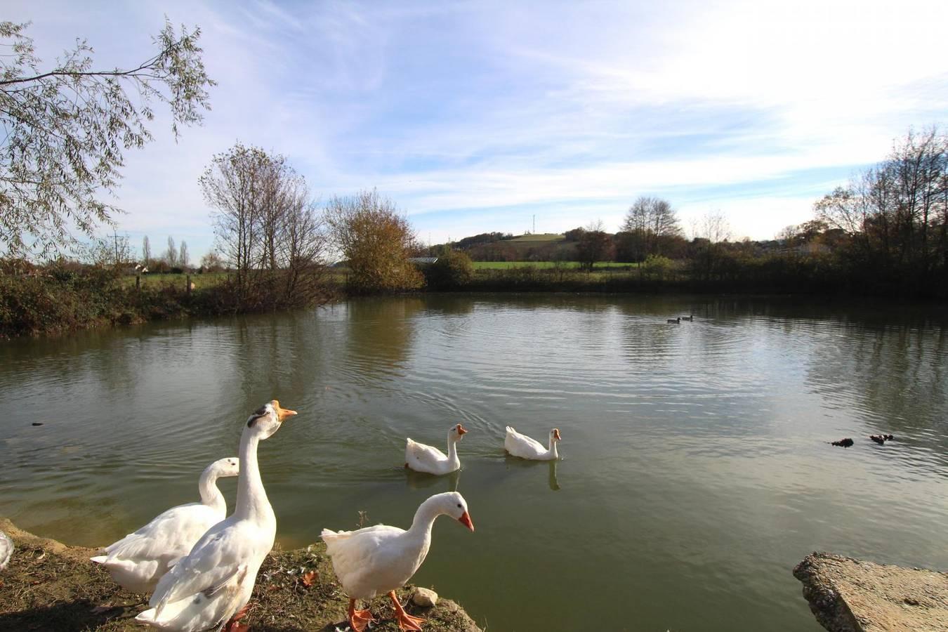 Soum De Coste in Ousse, Béarn, Frankrijk voor 5 personen foto 22