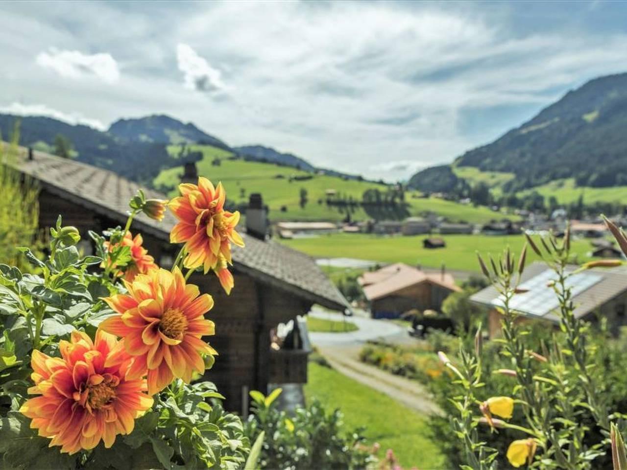 Vakantieappartement in Zweisimmen, Zwitserland voor 2 personen foto 9