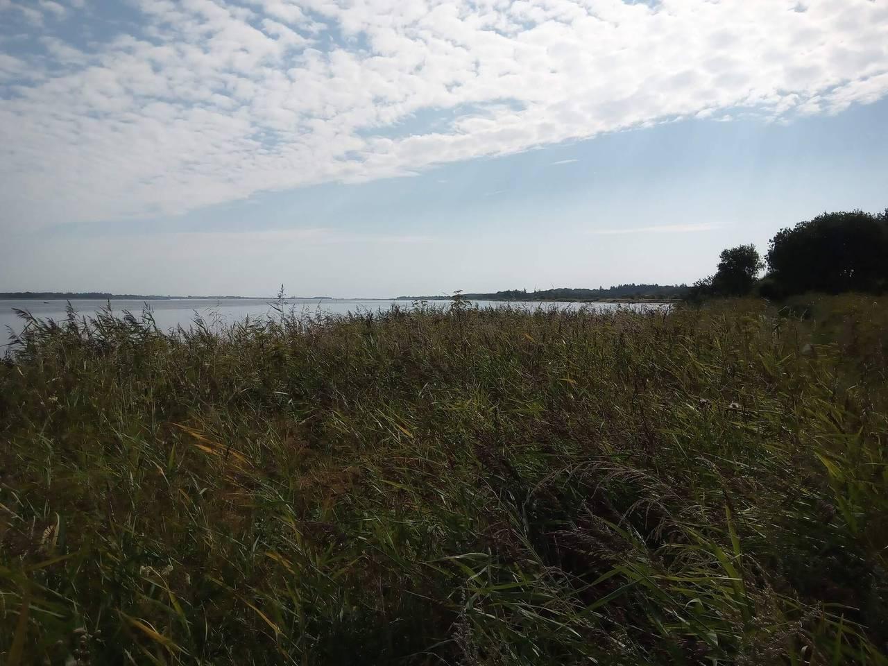 Vakantiehuis in Himmerland, Denemarken voor 5 personen foto 15