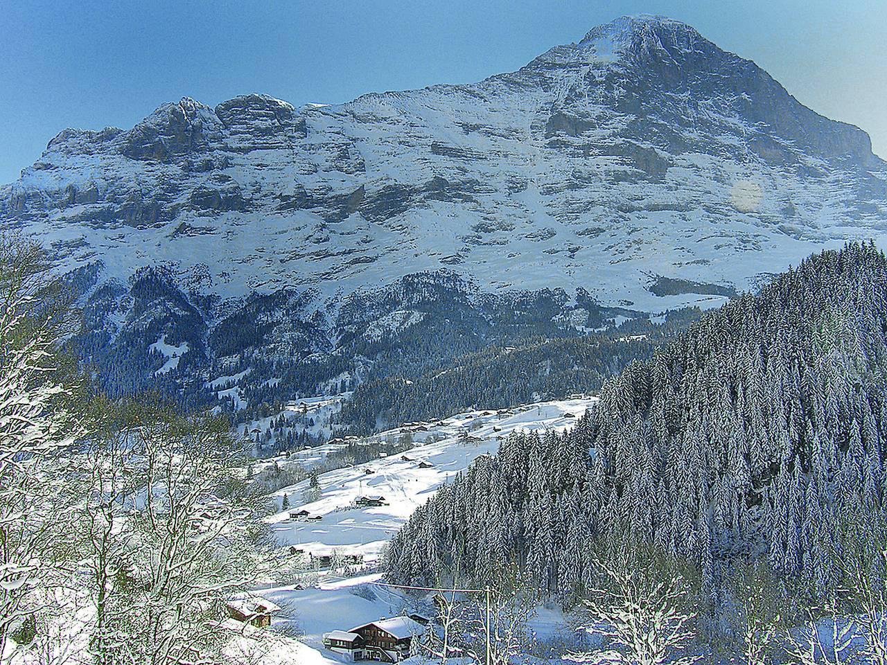 Chalet Auf dem Vogelstein in Schwendi b. Grindelwald, Grindelwald, Zwitserland voor 2 personen foto 18