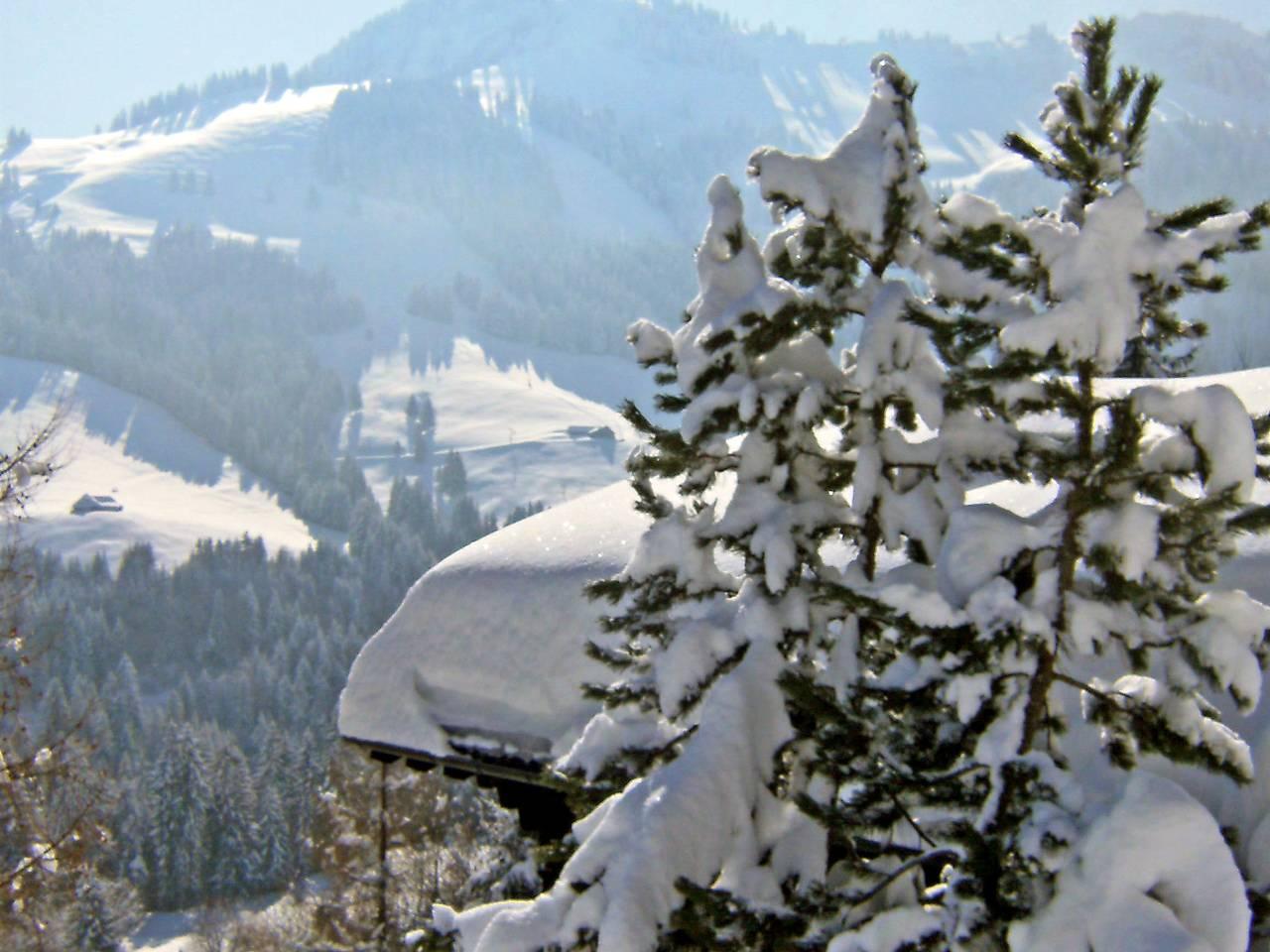 Chalet le Chamois in Gruyères, Fribourg (kanton), Zwitserland voor 6 personen foto 20
