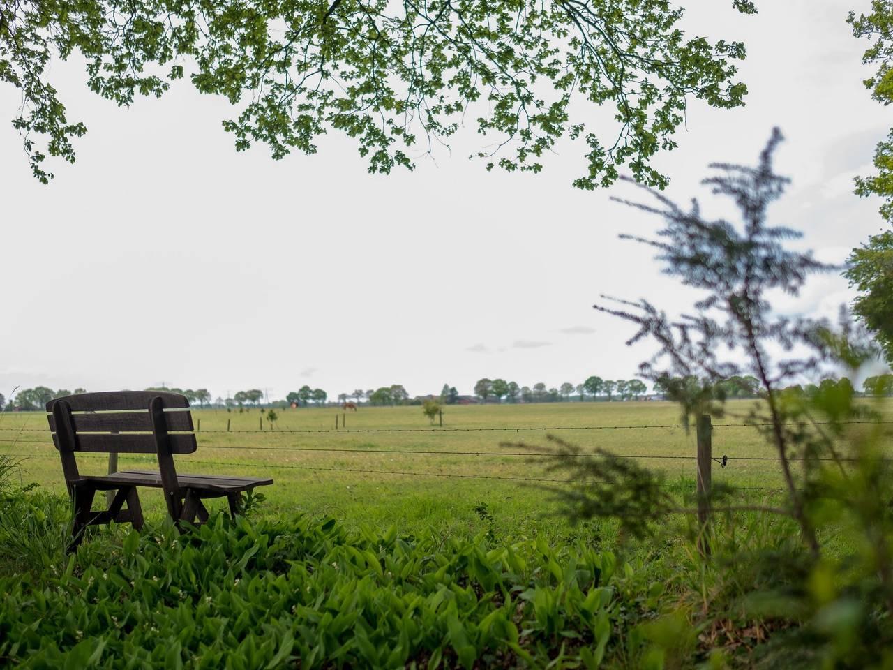 Vakantiehuis in Regio Zwolle, Nederland voor 10 personen foto 11