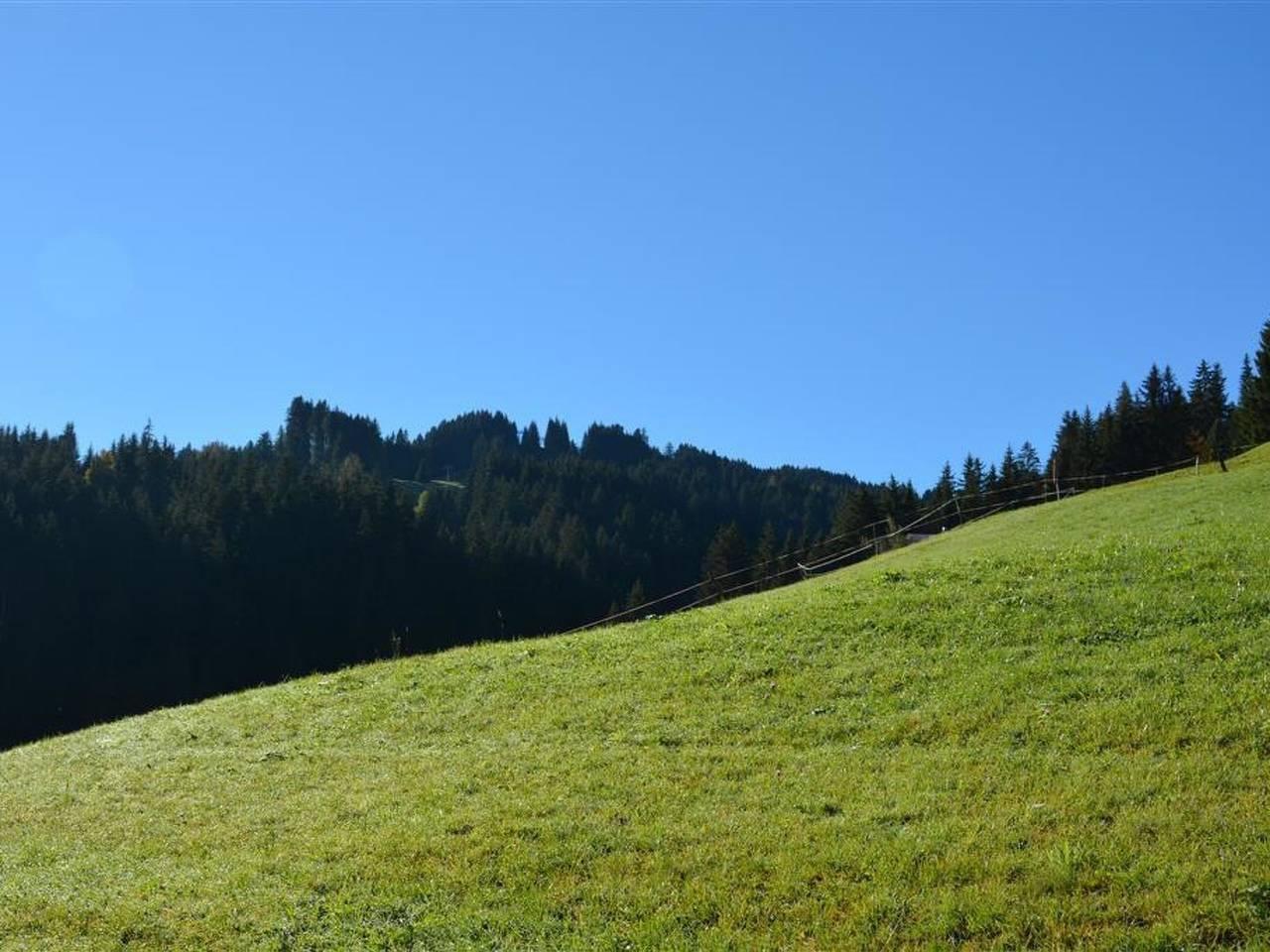 Hornflue (Baumann) in Saanenmöser, Saanen, Zwitserland voor 4 personen foto 12
