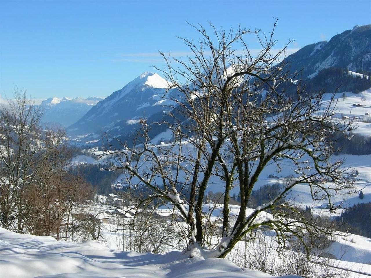 Vakantieappartement in Berner Oberland, Zwitserland voor 5 personen foto 6