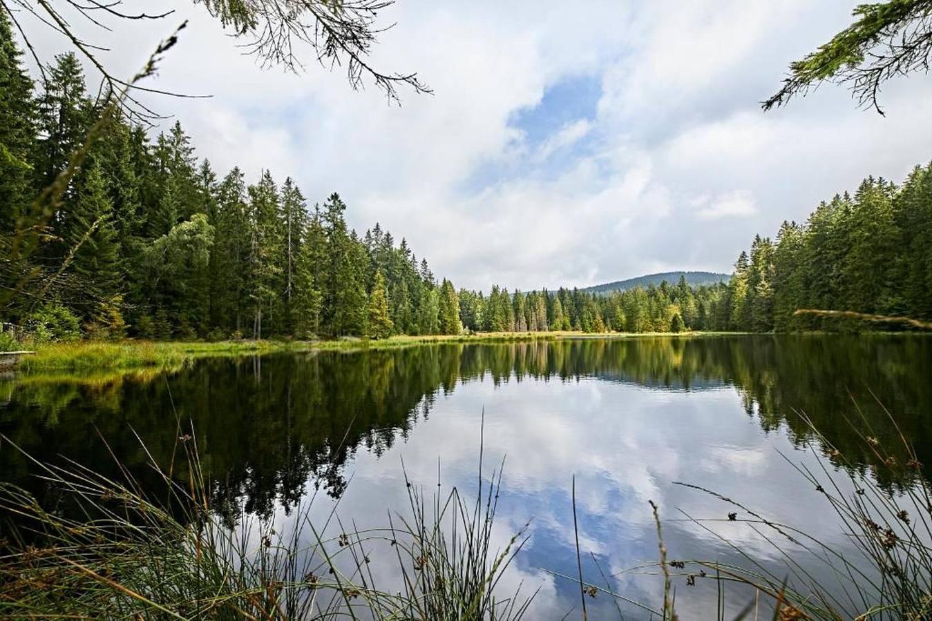 Vakantiehuis in Franken, Duitsland voor 5 personen foto 3