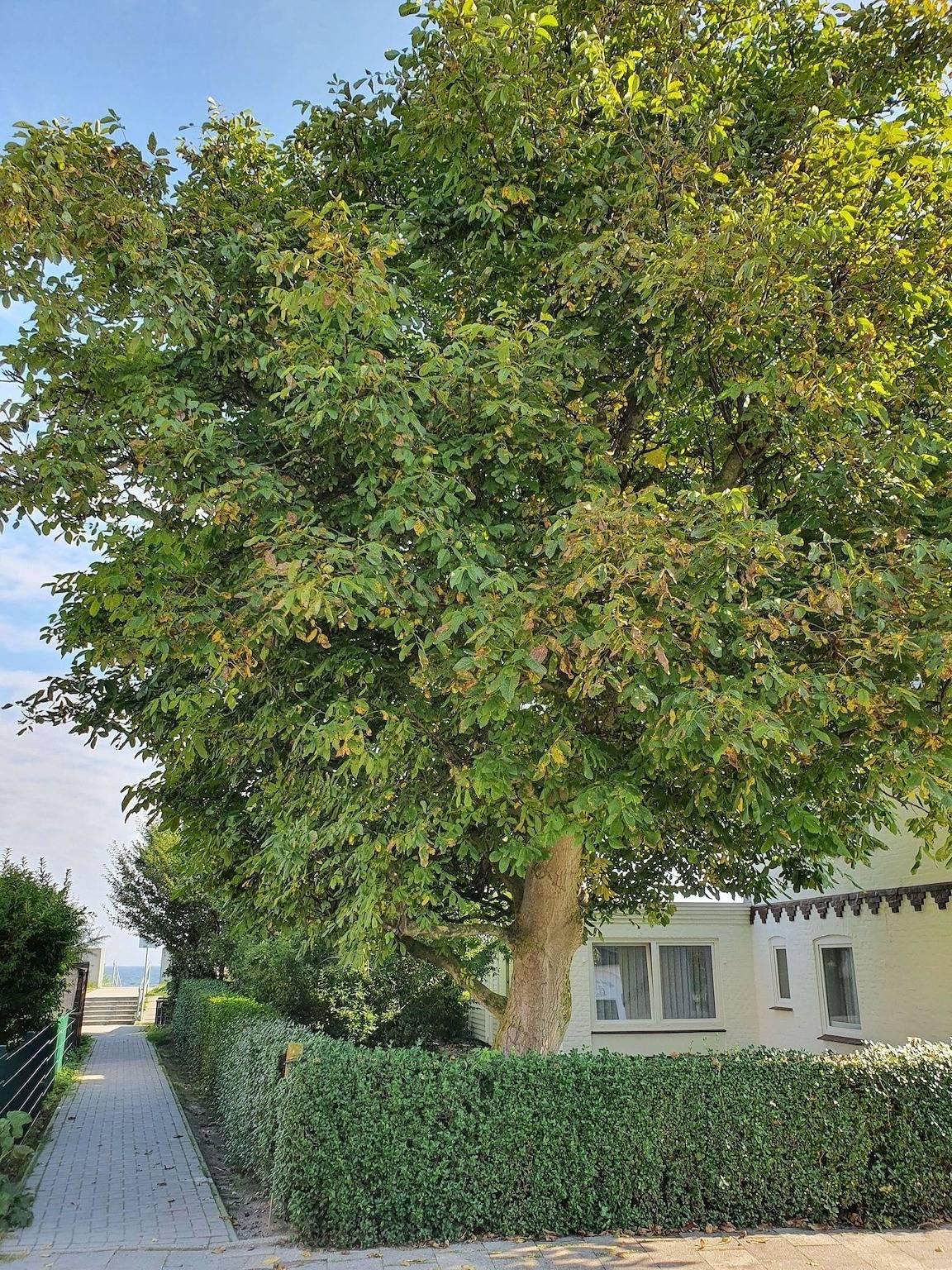 Vakantieappartement in Dahme, Duitsland voor 4 personen foto 16