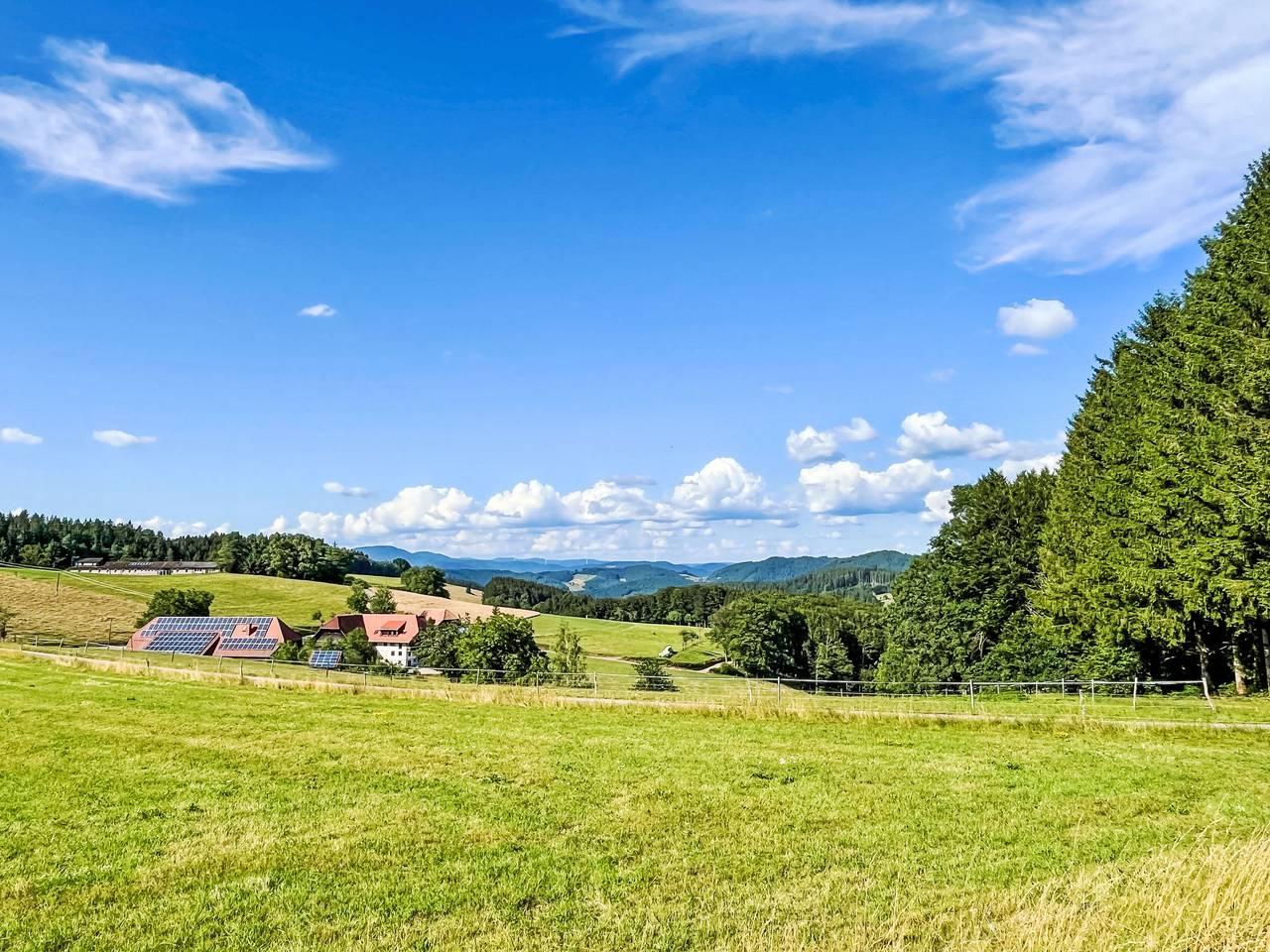 Mittelberghof in Hofstetten, Central Black Forest, Duitsland voor 4 personen foto 24