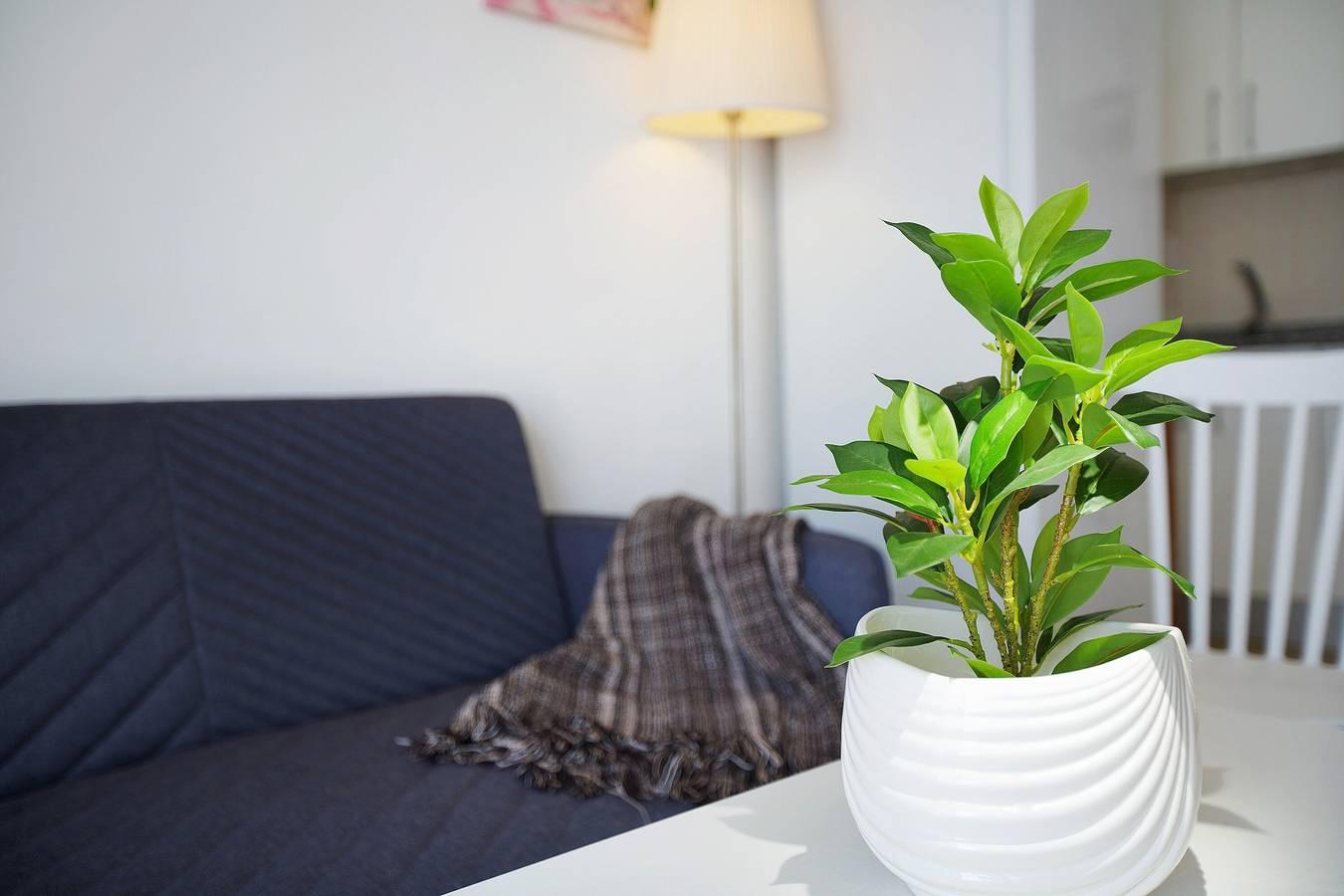 Vakantieappartement in Mogán, Spanje voor 3 personen foto 9