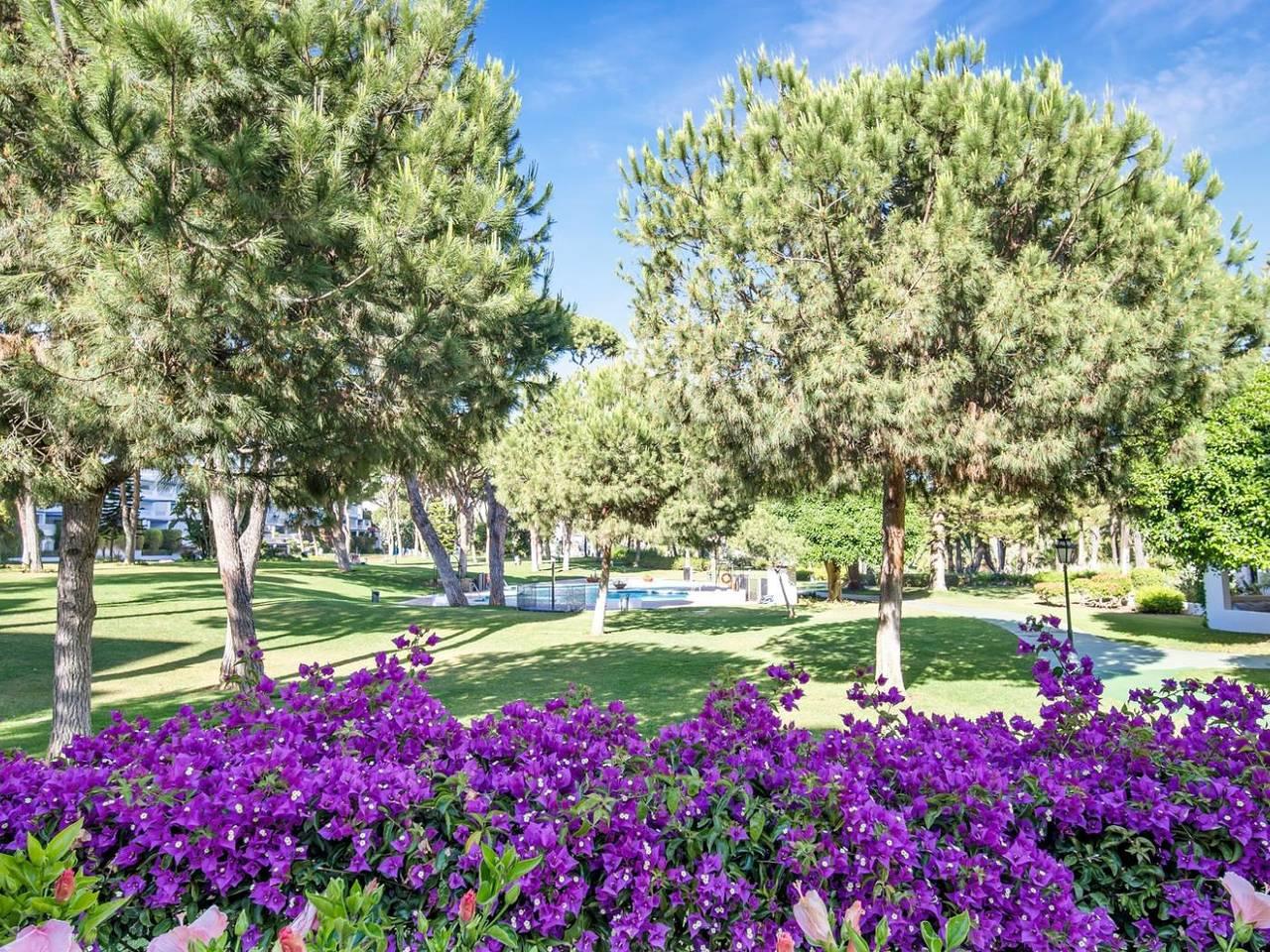 Vakantieappartement in Marbella, Spanje voor 4 personen foto 18