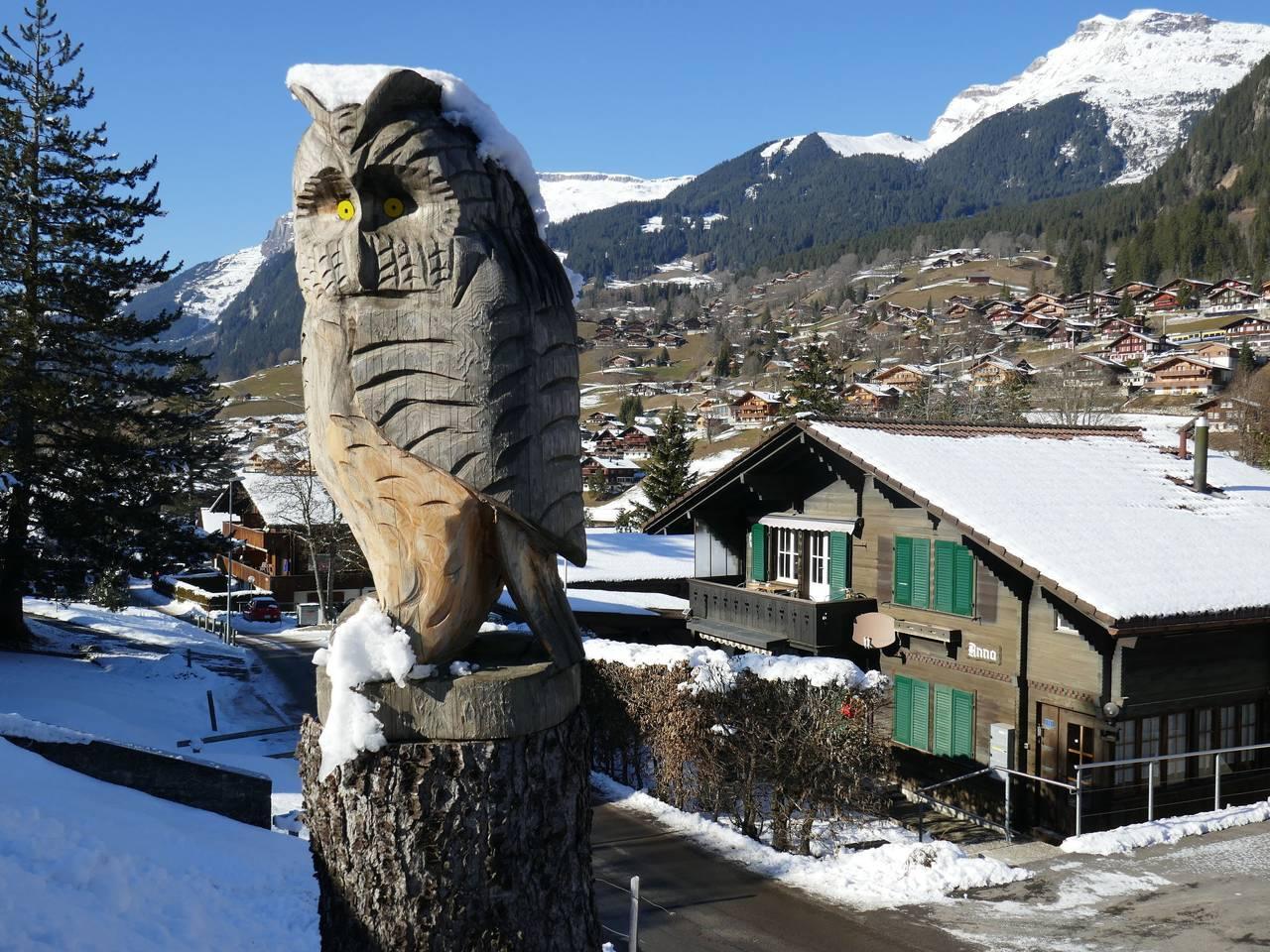 Vakantieappartement in Schwendi b. Grindelwald, Grindelwald, Zwitserland voor 4 personen foto 24