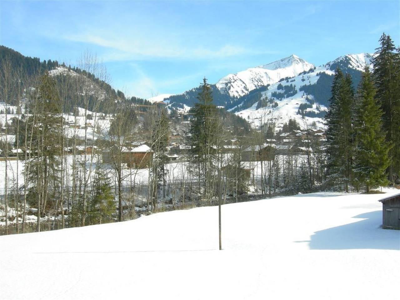 Vakantieappartement in Saanen, Zwitserland voor 2 personen foto 3
