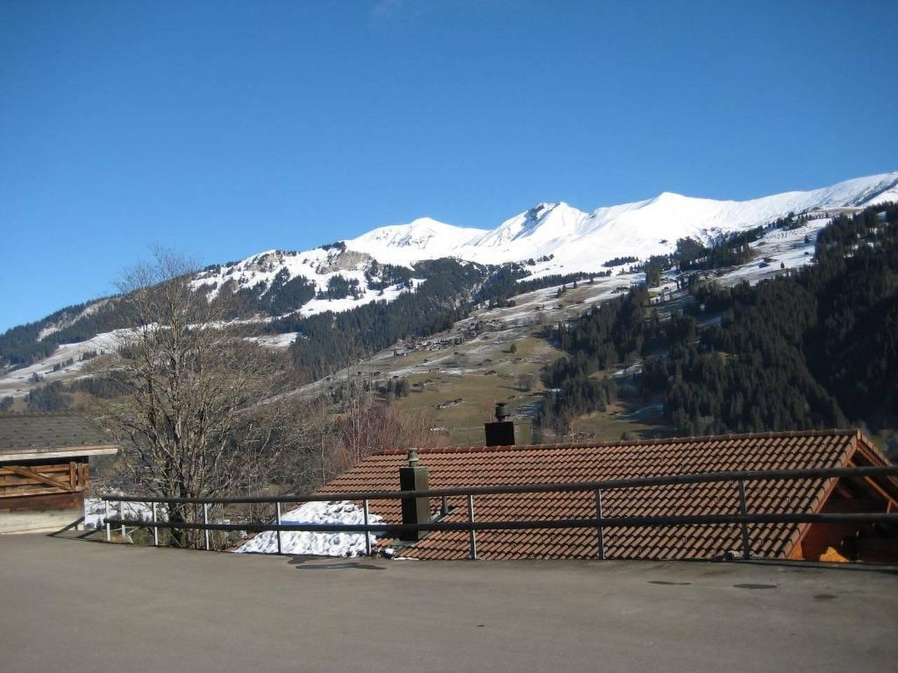 Vakantieappartement in Lenk, Zwitserland voor 3 personen foto 4