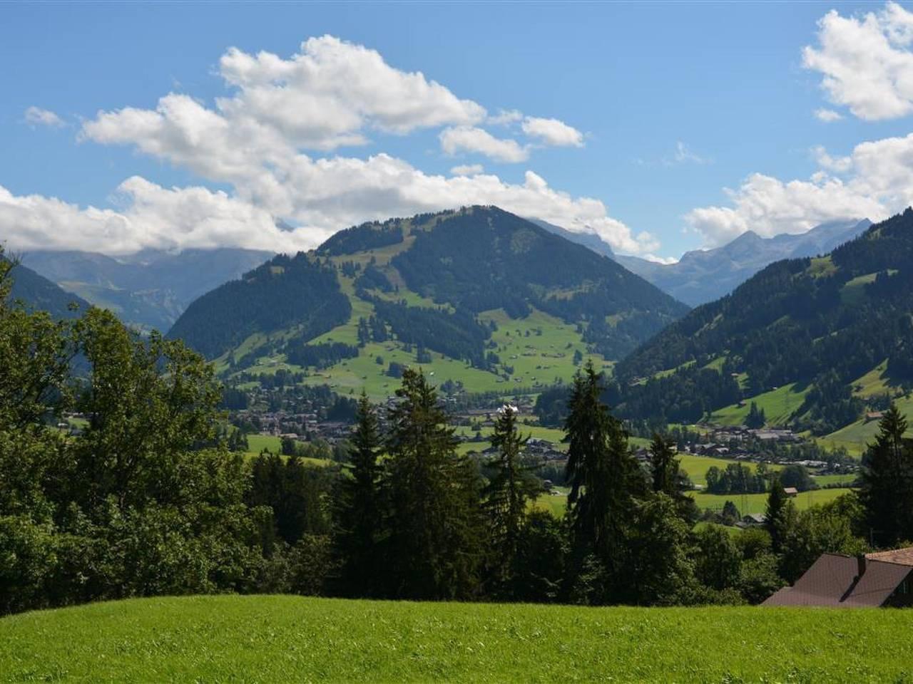 Vakantieappartement in Saanen, Zwitserland voor 5 personen foto 2