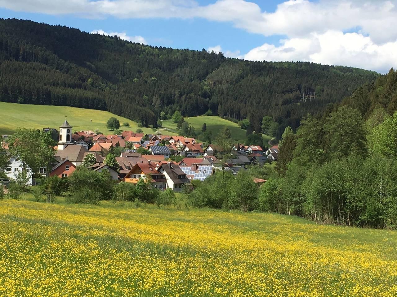 Mittelberghof in Hofstetten, Central Black Forest, Duitsland voor 4 personen foto 22