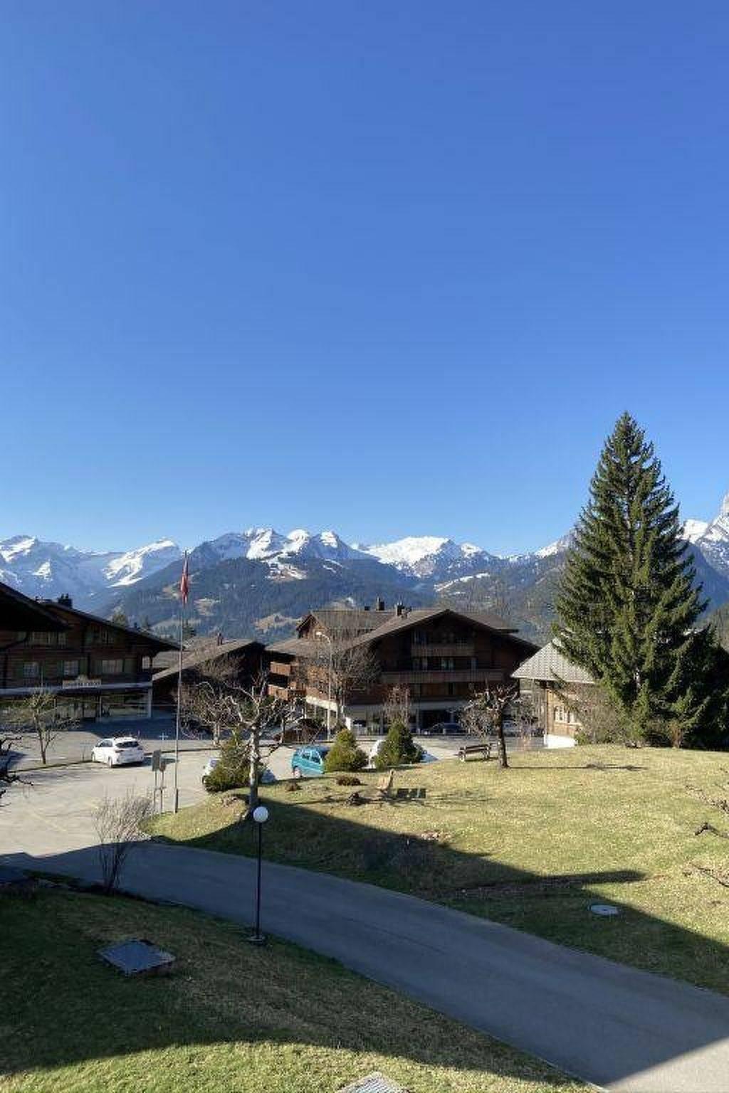 Vakantieappartement in Saanen, Zwitserland voor 4 personen foto 12