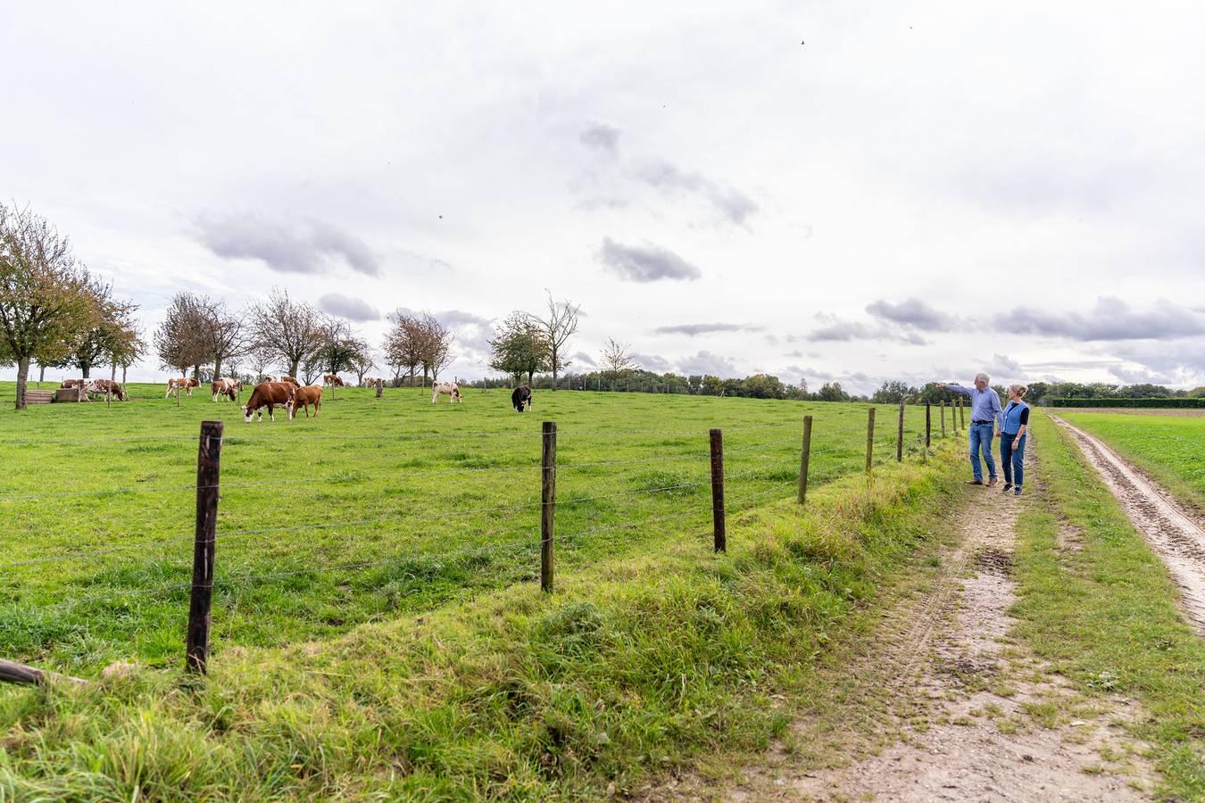 Vakantiehuis in Zuid-Limburg, Nederland voor 4 personen foto 10