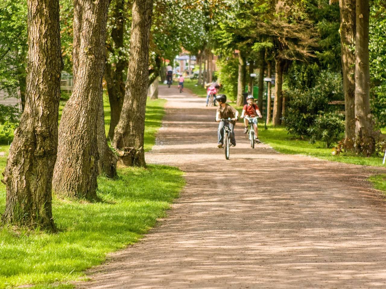 Vakantiehuis in Cuxland, Duitsland voor 4 personen foto 16