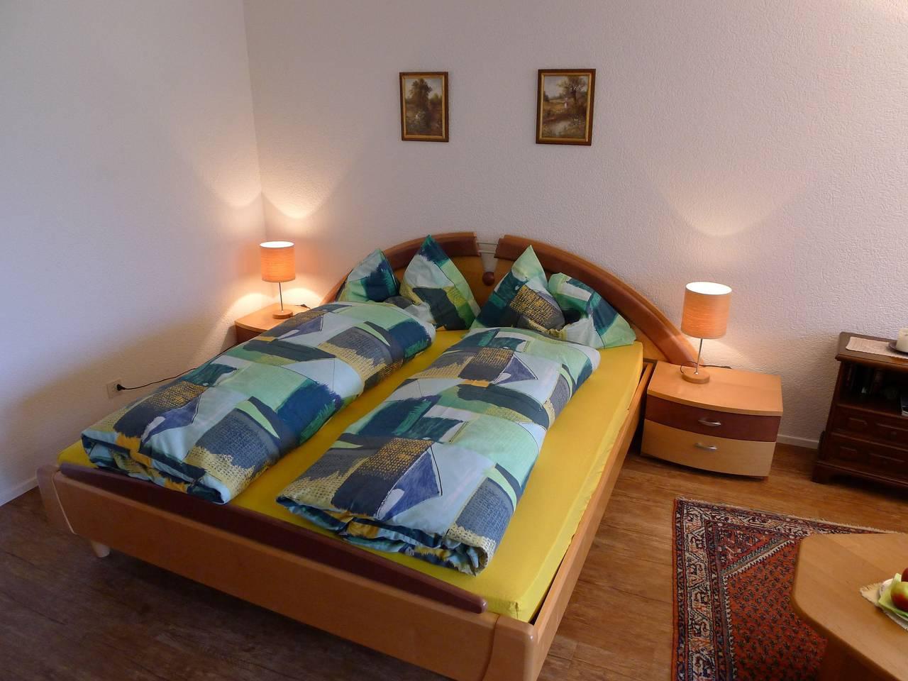 Vakantieappartement met hond toegestaan in Leukerbad, Wallis, Zwitserland voor 2 personen foto 8