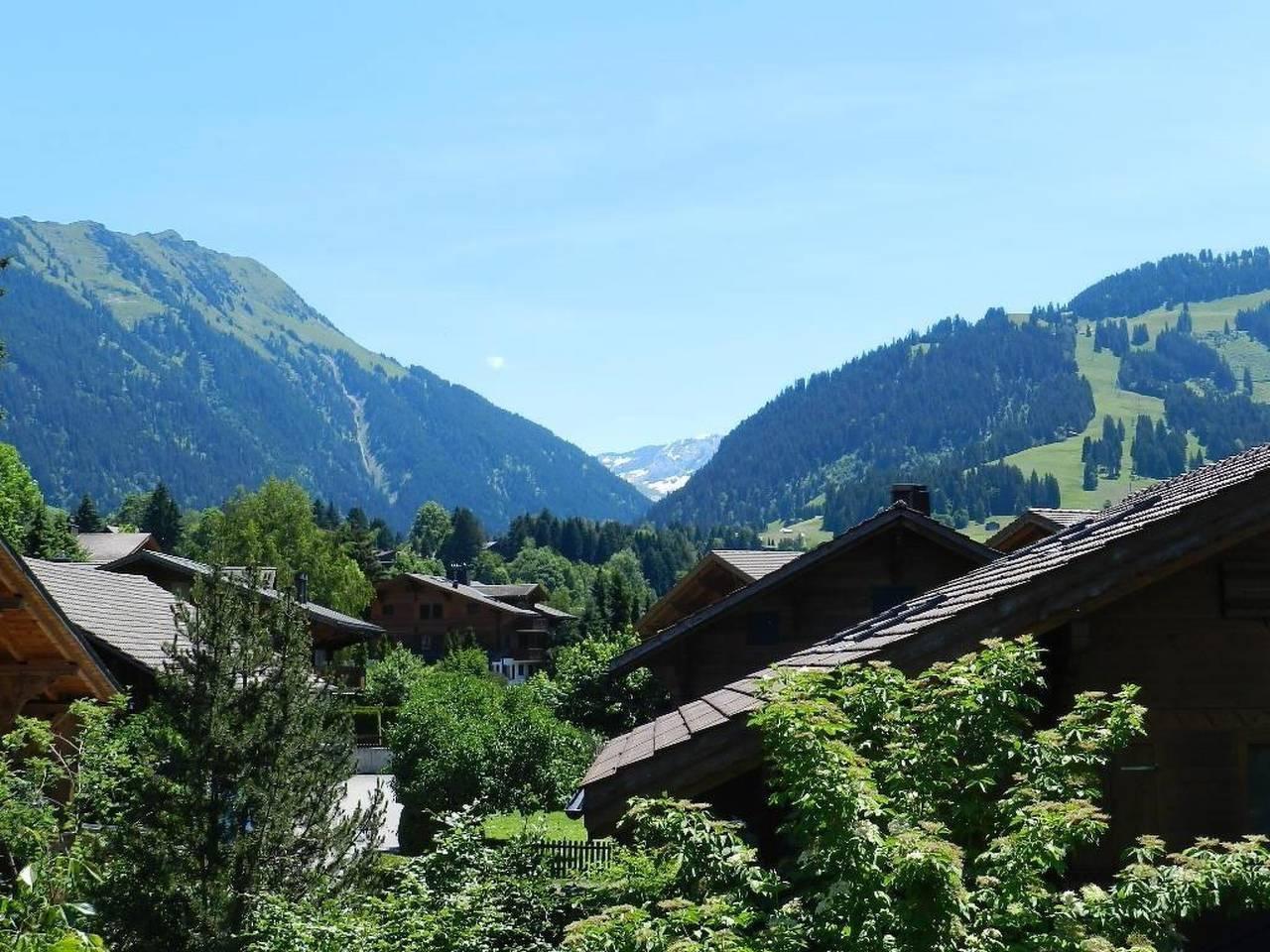 Im Wiesengrund in Gstaad, Saanen, Zwitserland voor 4 personen foto 6