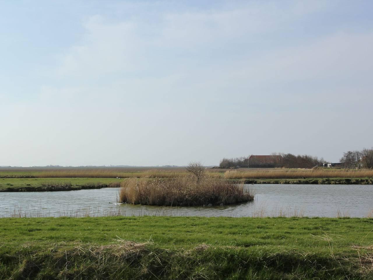Villa in Nationaal Park in De Koog, Nederlandse waddeneilanden, Nederland voor 8 personen foto 21