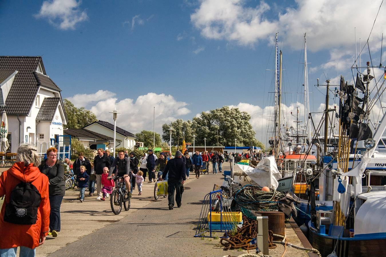 Vakantieappartement onder een rieten dak, slechts in Neuendorf Hiddensee Island, Hiddensee, Duitsland voor 3 personen foto 21