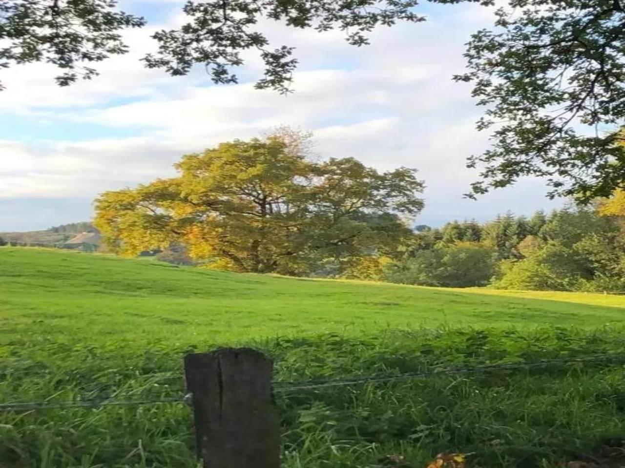 Vakantiehuis in Weismes, België voor 10 personen foto 15