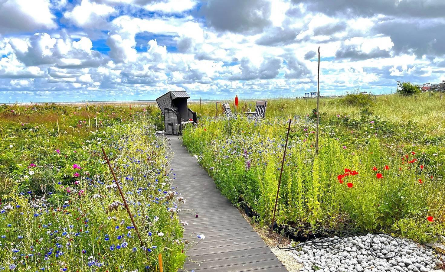 Vakantieappartement in Amrum, Duitsland voor 2 personen foto 10