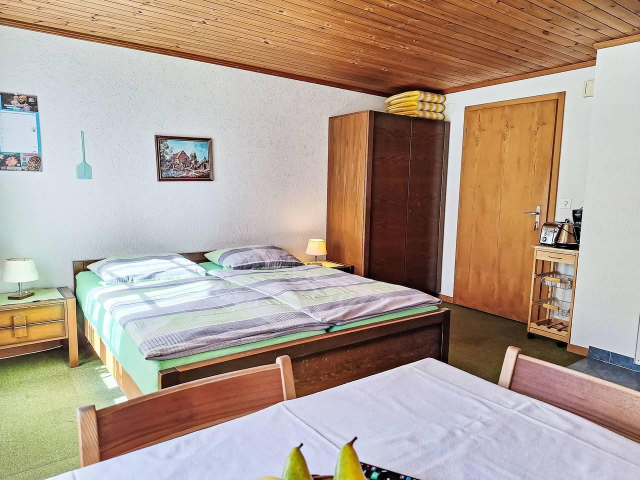 Vakantieappartement in Grindelwald, Zwitserland voor 3 personen foto 4