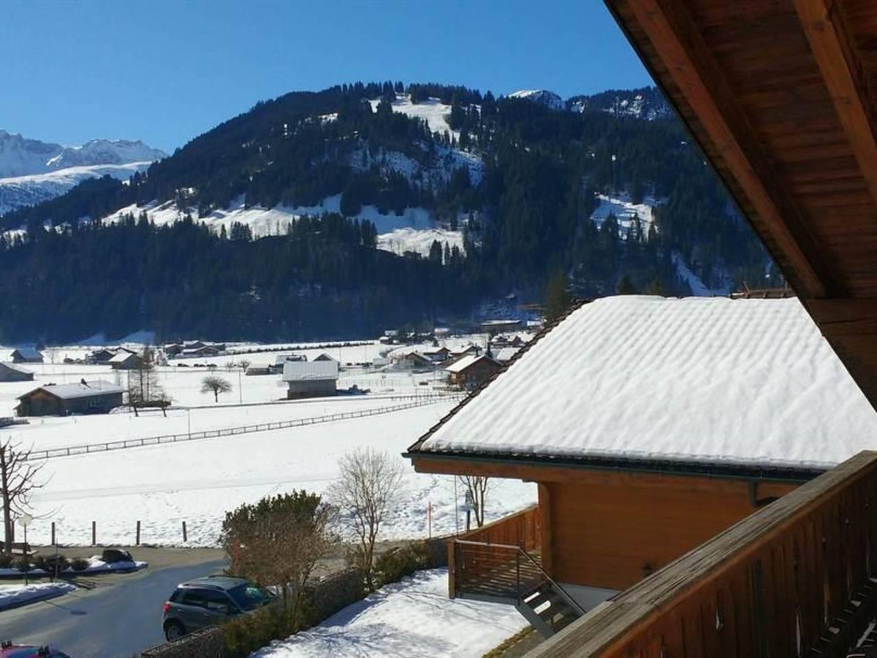 Vakantieappartement in Lenk, Zwitserland voor 4 personen foto 5