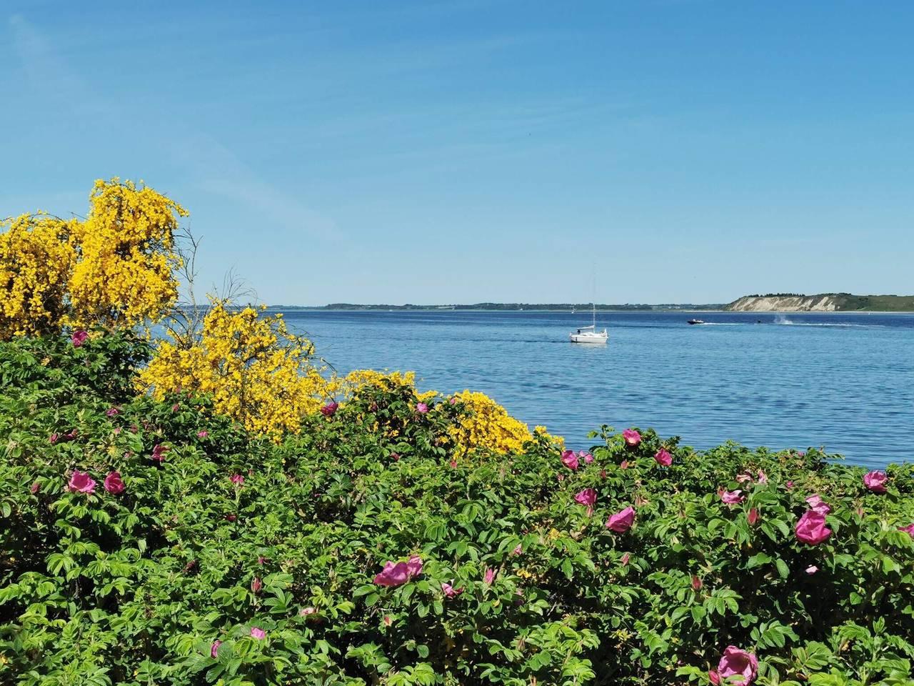 Vakantiehuis in Virksund, Denemarken voor 8 personen foto 13