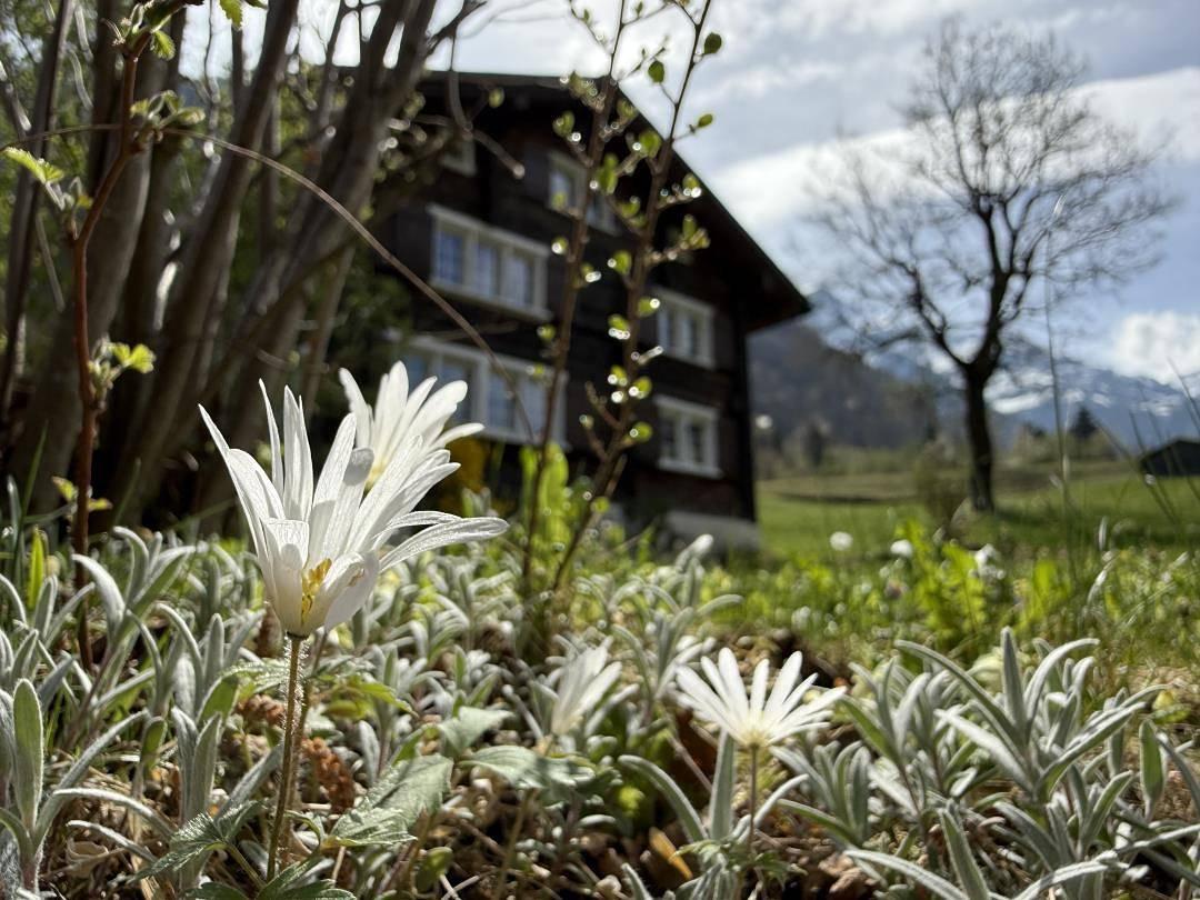 Vakantiehuis in Linthal (Glarnerland, Glarus Süd, Zwitserland voor 6 personen foto 23