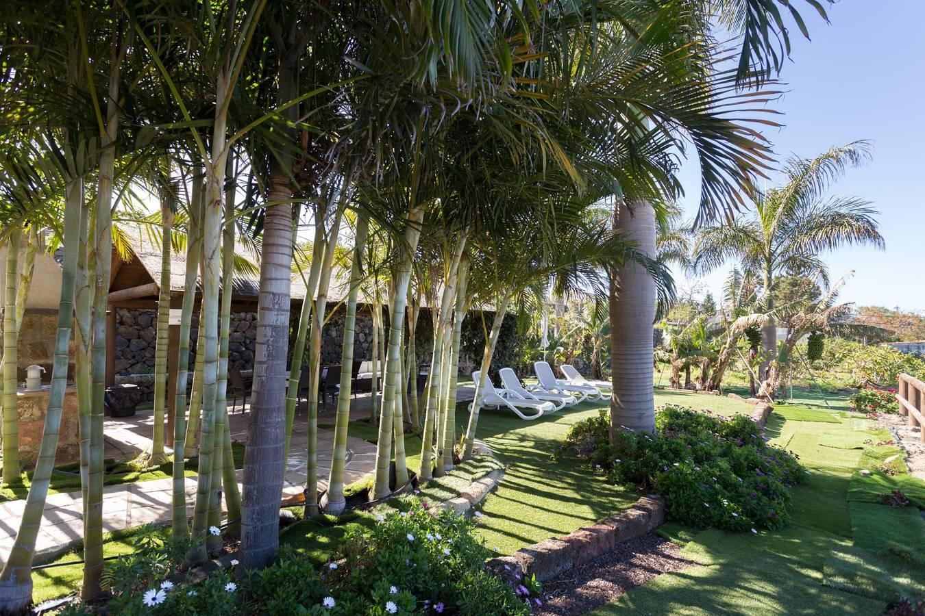 Vakantieappartement in Tenerife, Spanje voor 5 personen foto 17