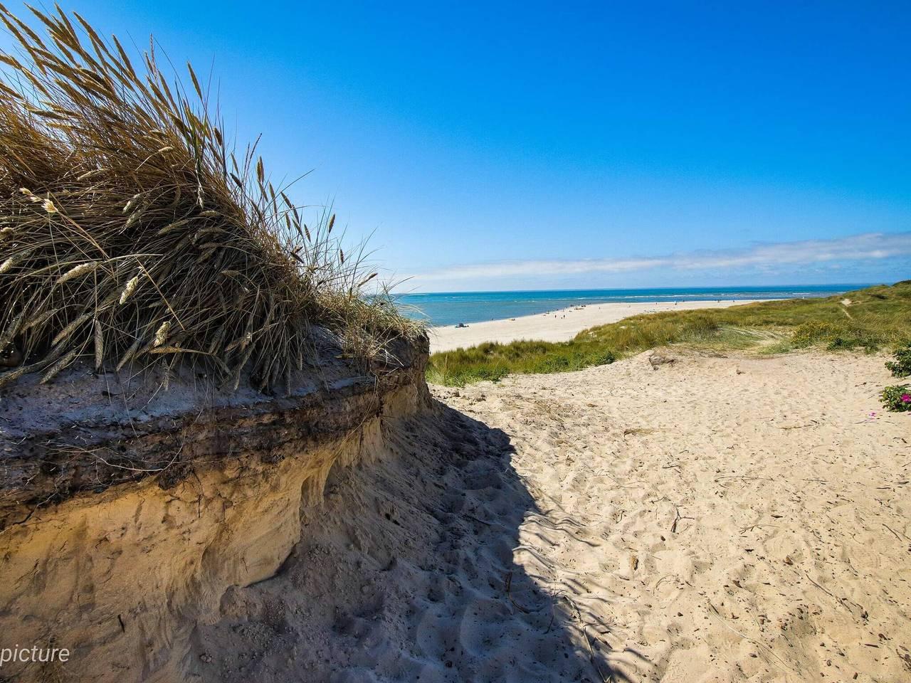 Vakantiehuis in Blåvand, Denemarken voor 8 personen foto 4