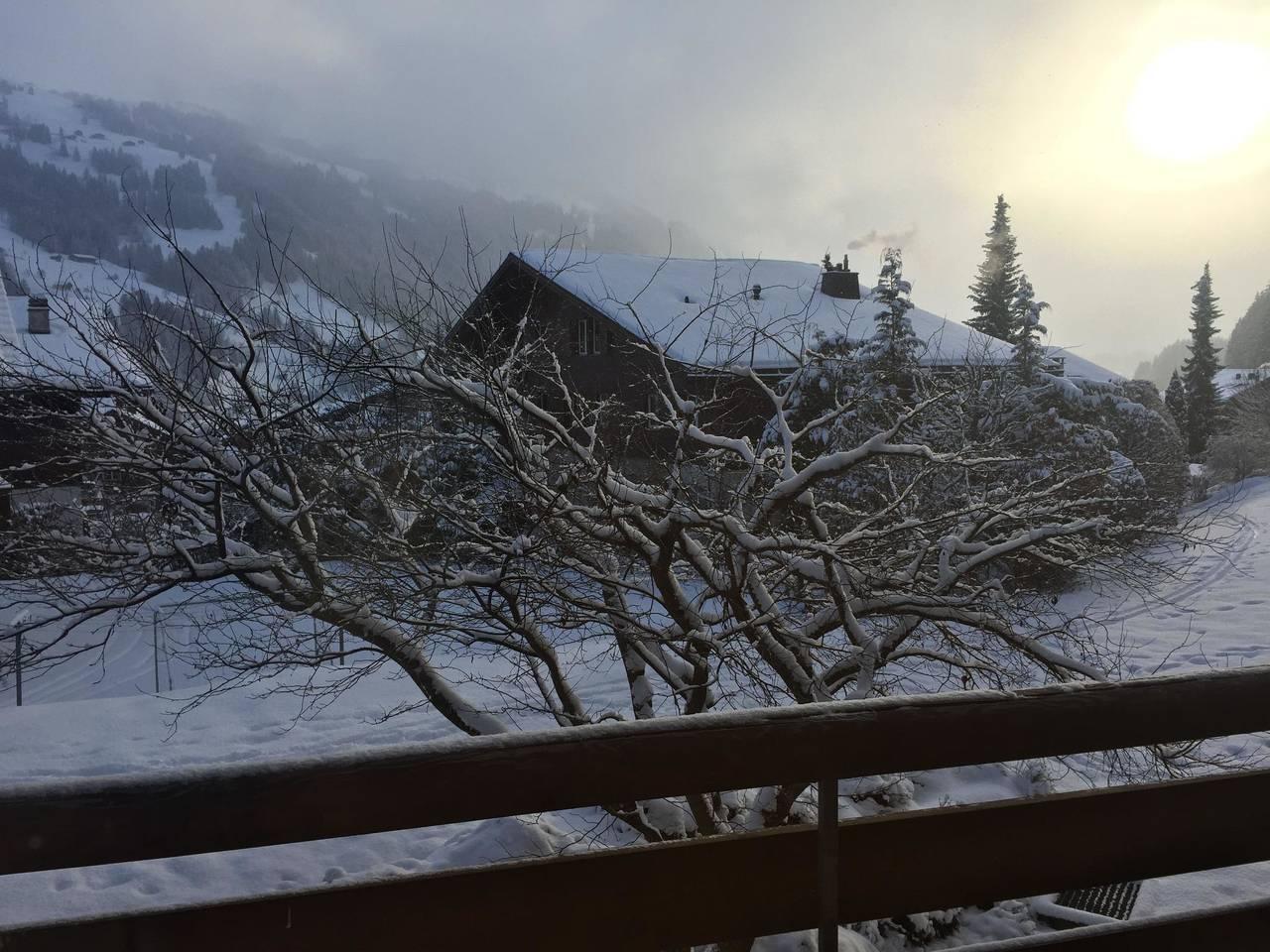 Ammerten in Lenk, Zwitserland voor 2 personen foto 7