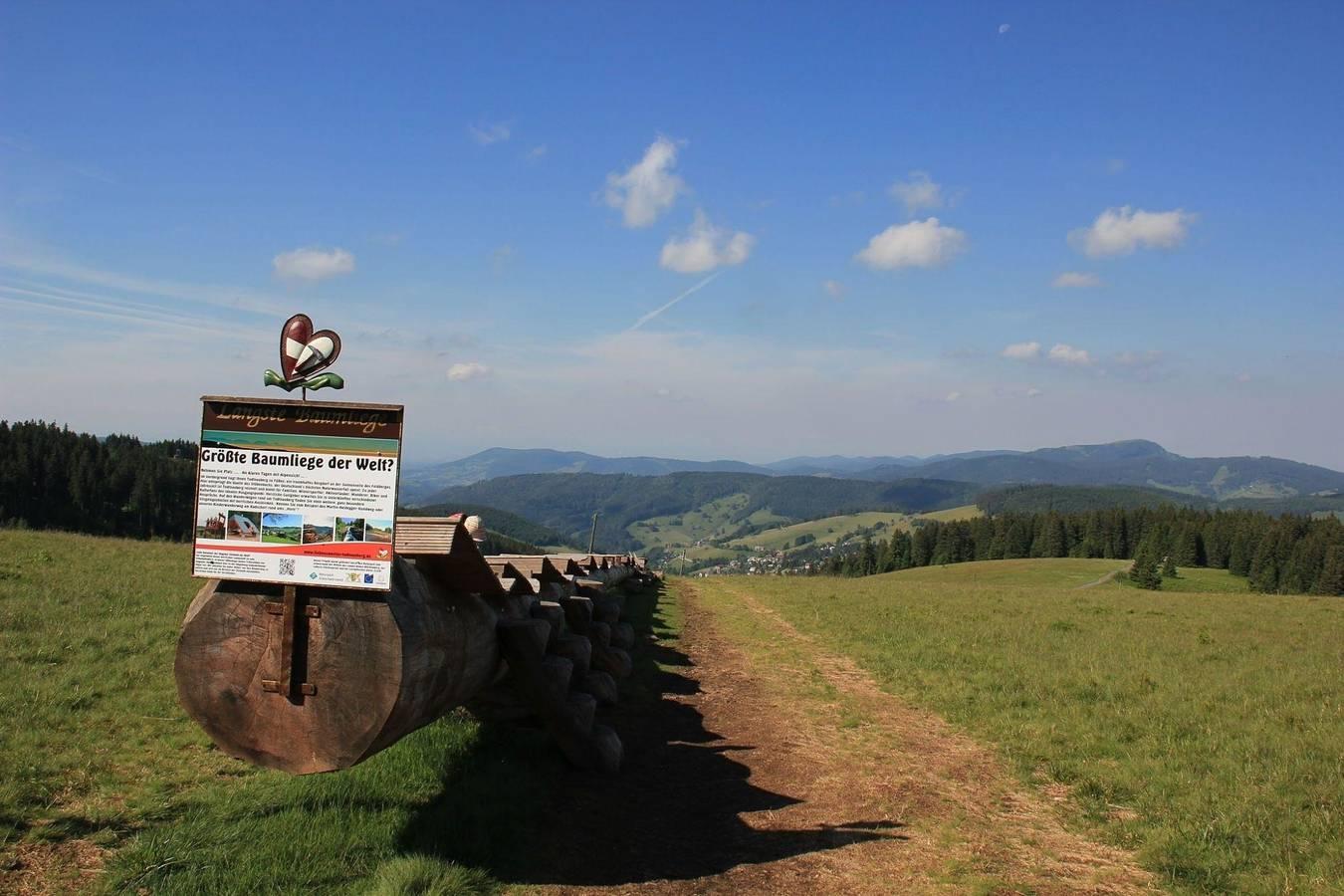 Vakantieappartement in Todtnau, Duitsland voor 5 personen foto 14
