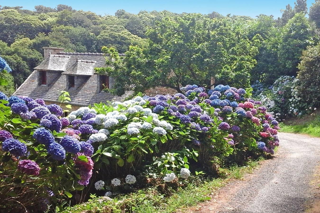 Stenen Huis in Bretagne bij Zandstrand in Penvénan, Roze Granietkust, Frankrijk voor 4 personen foto 19