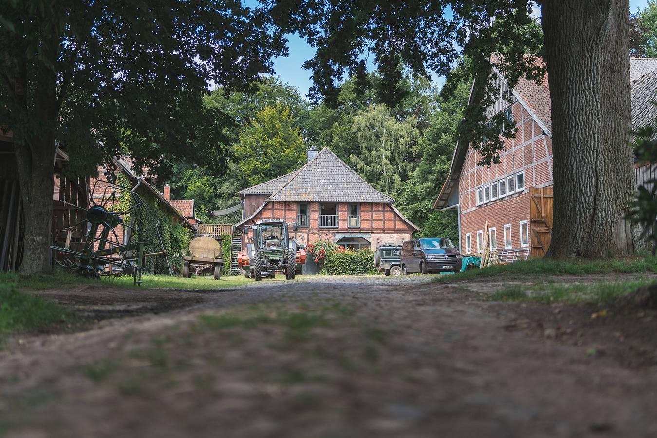 Vakantiehuis met terras in Lüneburger Heide, Duitsland voor 10 personen foto 25