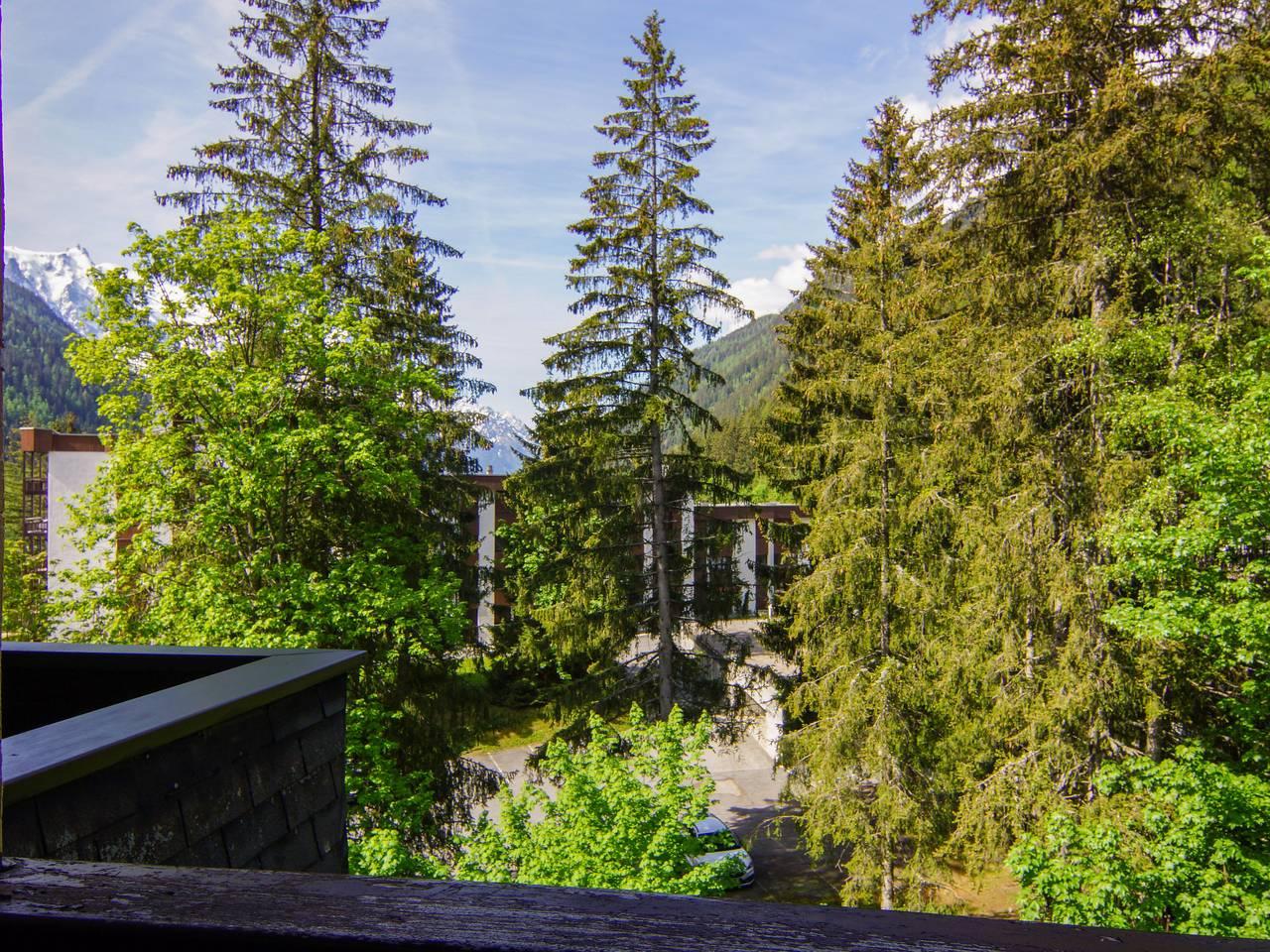 Vakantieappartement in Chamonix, Frankrijk voor 4 personen foto 16