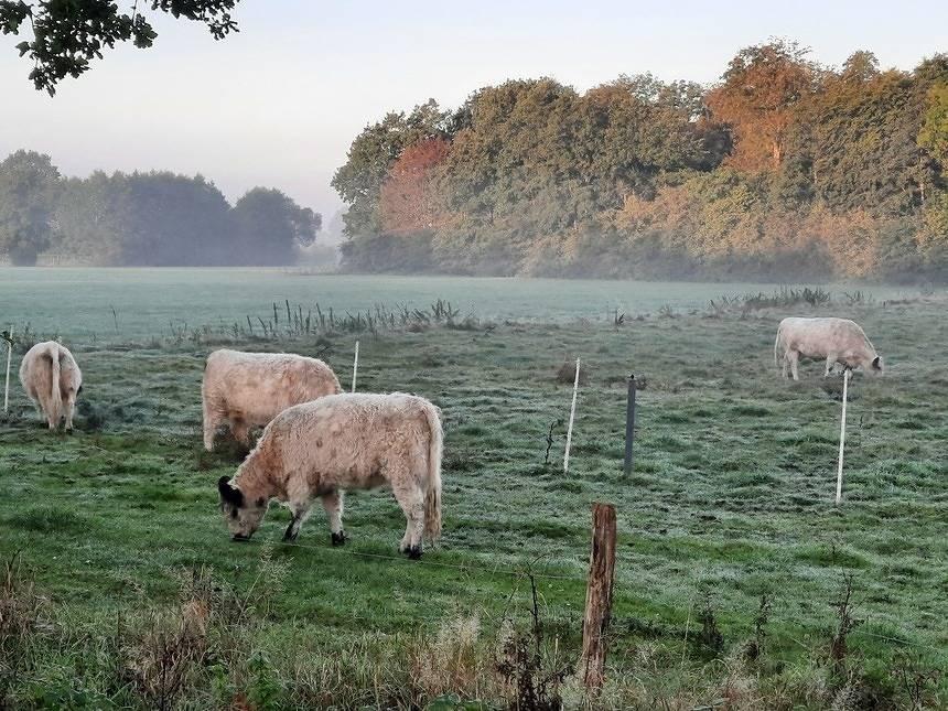 Vakantiehuis in Haithabu, Duitsland voor 5 personen foto 14