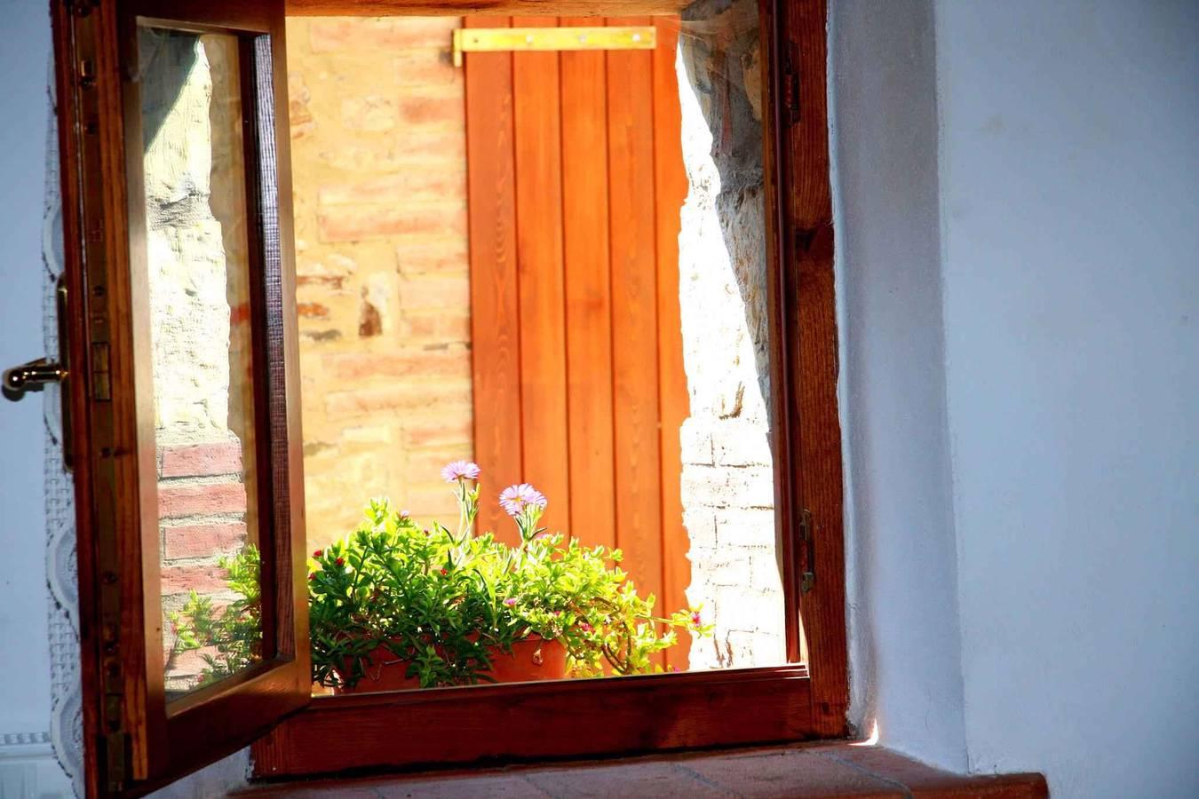 Vakantieappartement in Maremma, Italië voor 5 personen foto 13