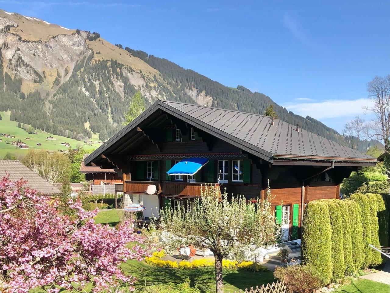 Vakantieappartement in Lenk, Zwitserland voor 2 personen foto 2