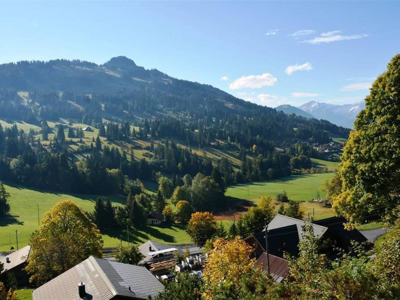 Vakantieappartement in Saanen, Zwitserland voor 9 personen foto 9