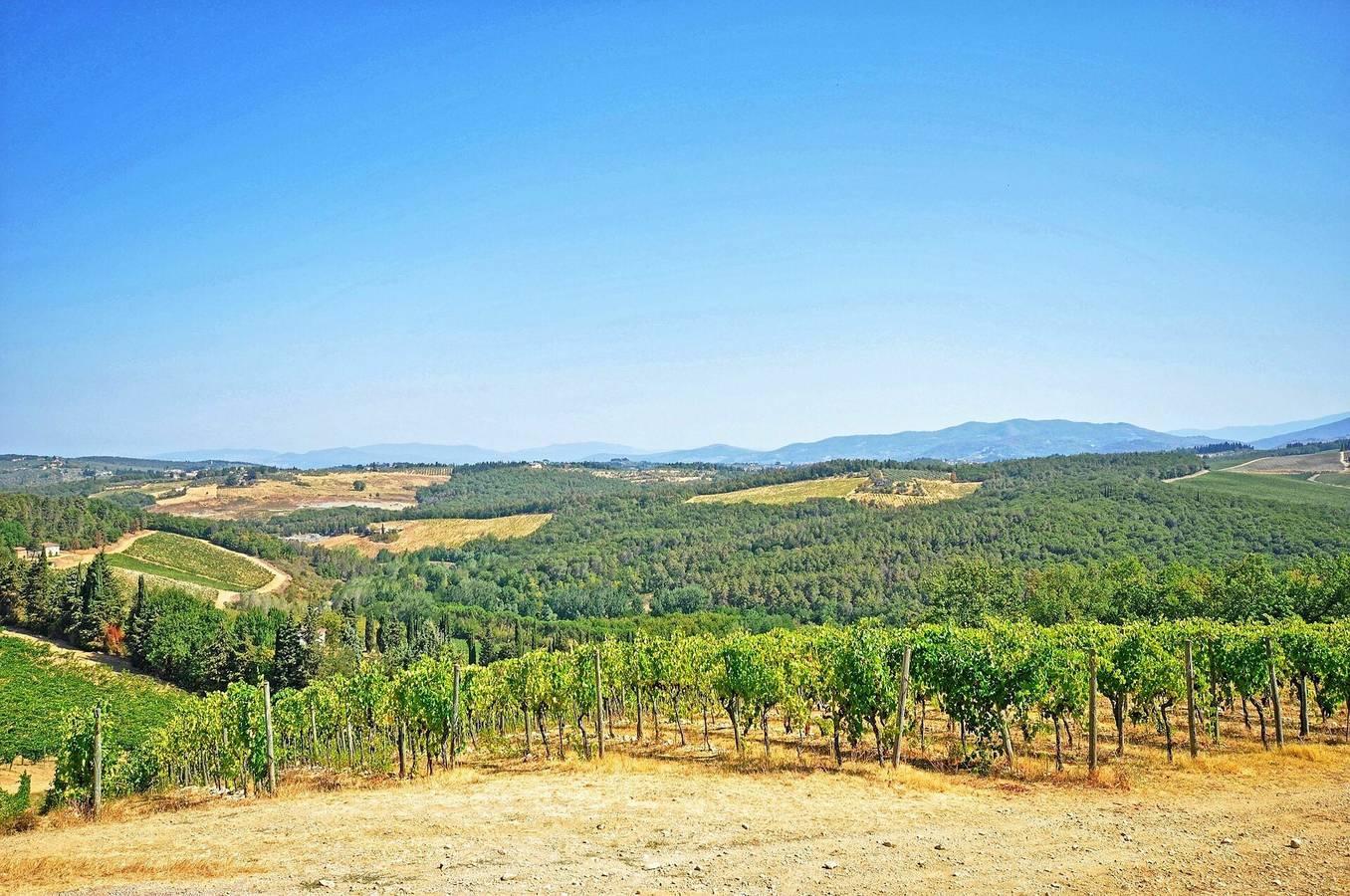 Vakantieappartement in Chianti, Italië voor 4 personen foto 9