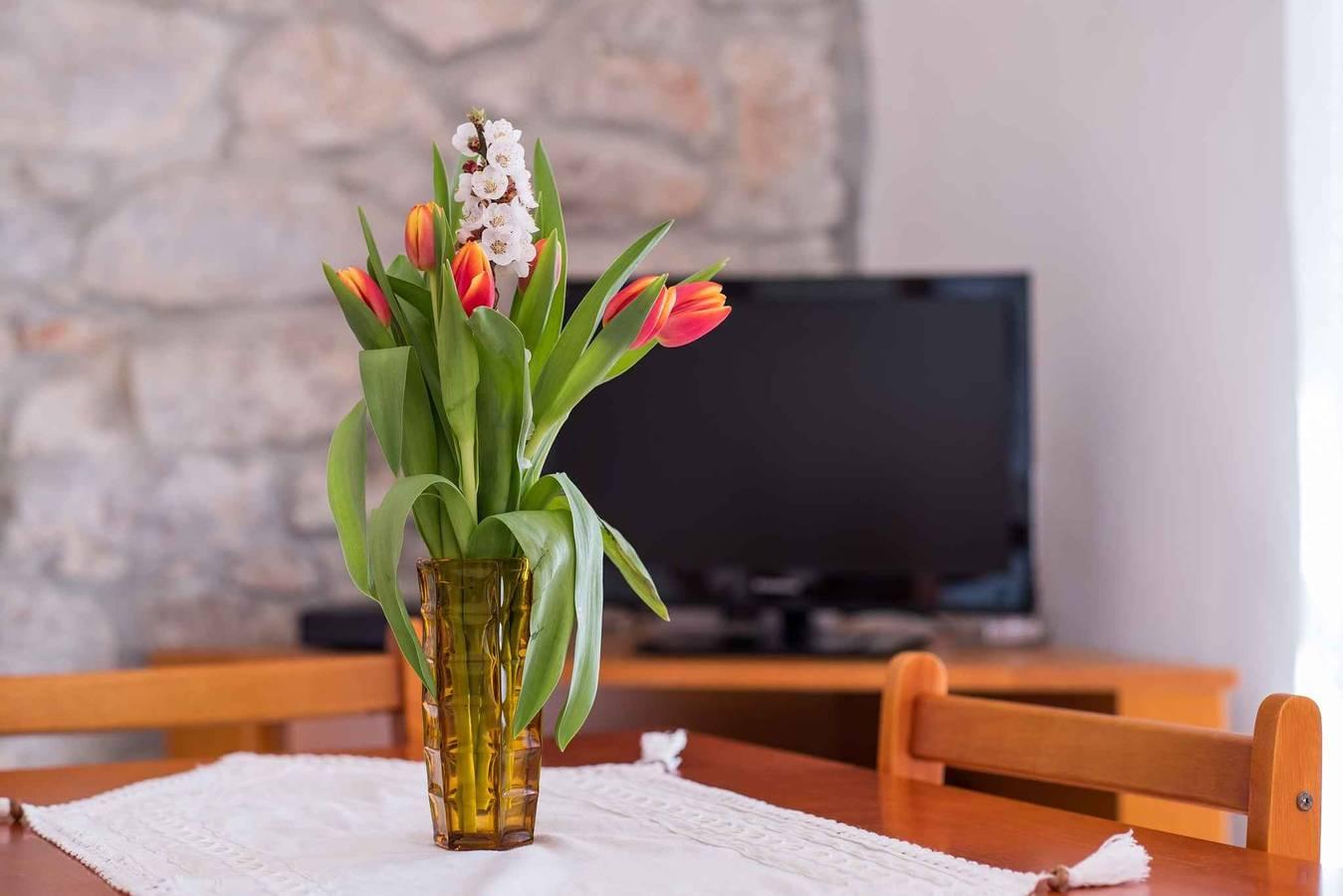Vakantieappartement in Cres, Kroatië voor 4 personen foto 15