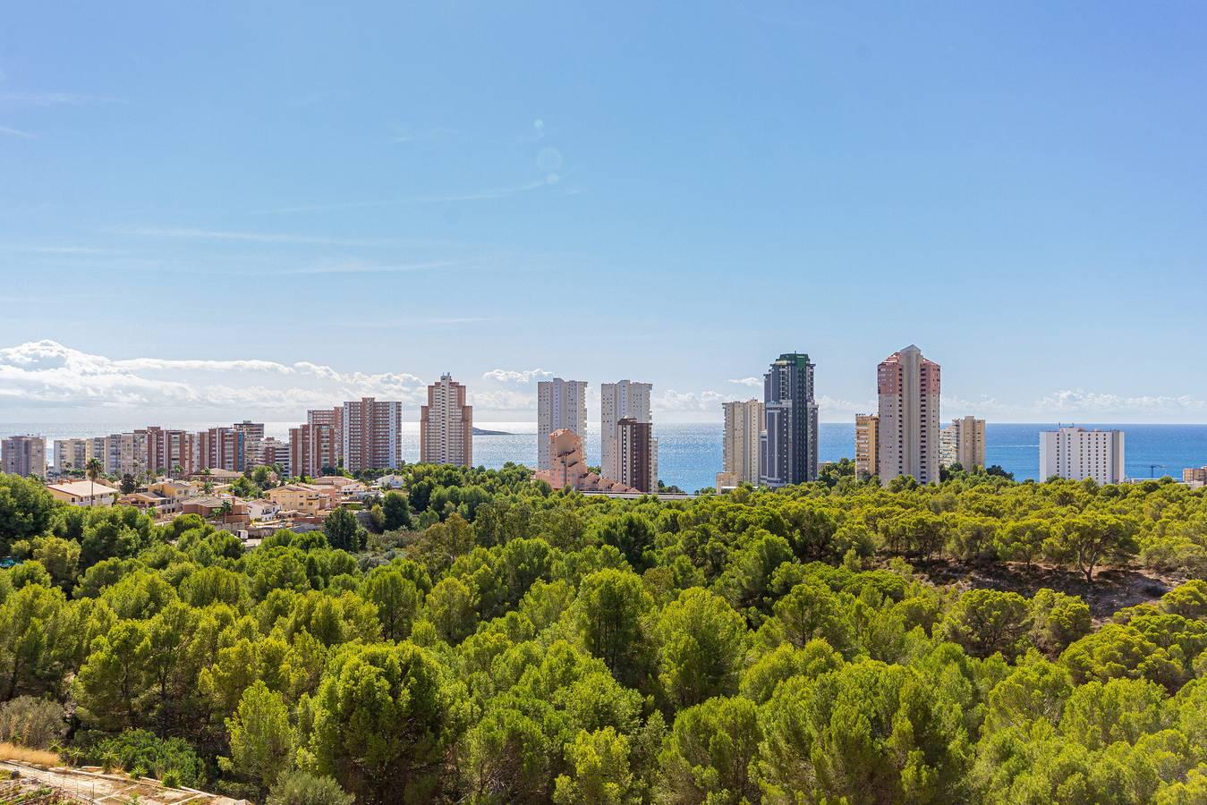 Vakantieappartement met zwembad en speeltuin in Benidorm, Spanje voor 5 personen foto 22